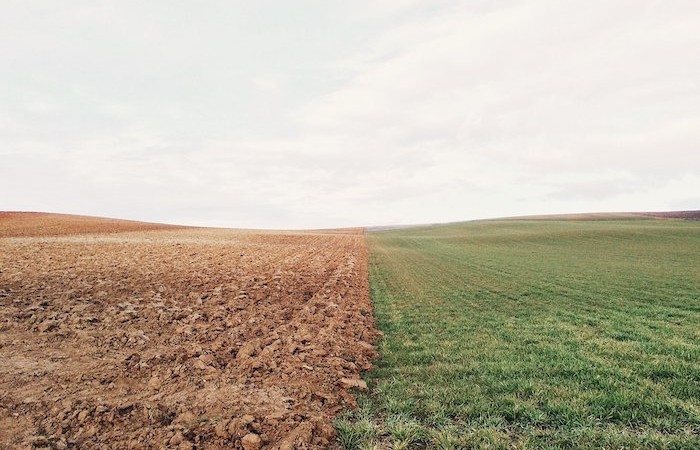 Agriculture reprise de biens loués Terrésa avocats