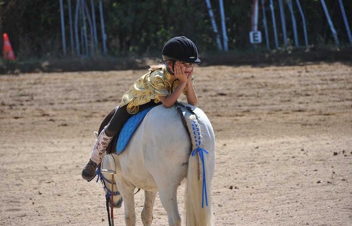 Aides exceptionnelles au centre equestre et poney clubs