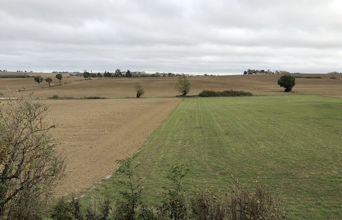 Agriculture Société de fait  le preneur encoure la résiliation de son bail rural