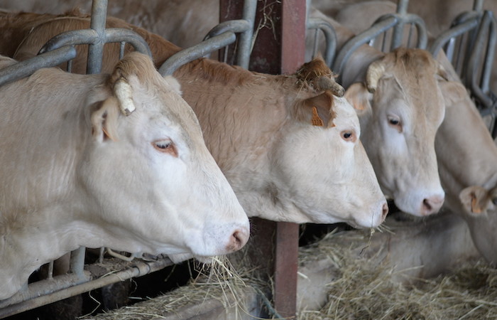 Encadrement et contrôle des ICPE dans le domaine agricole