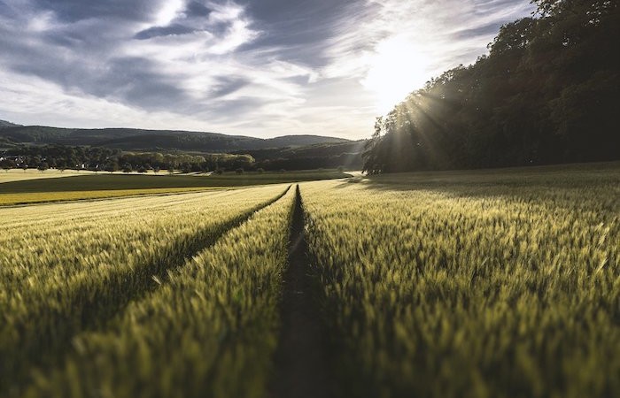 Loi SEMPASTOUS : les seuils d’agrandissements significatifs applicables en région AURA, Bretagne et Nouvelle Aquitaine, Centre Val de Loire, Pays de la Loire, Grand Est et Bourgogne Franche Comté