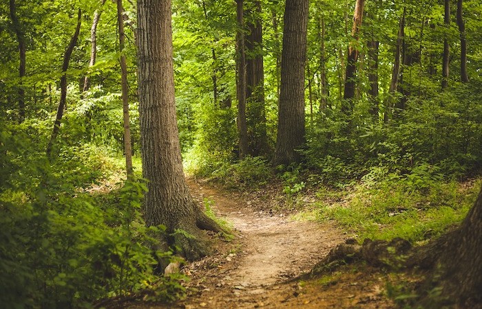 Accès aux chemins ruraux, un propriétaire ne peut empêcher le passage sur sa propriété