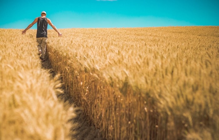 PAC 2023-2027 : Quel pourcentage du capital faut-il détenir pour être reconnu agriculteur actif ?