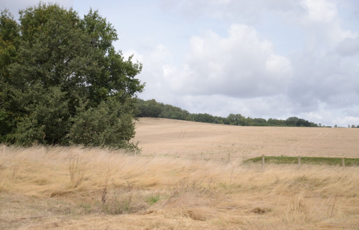 Barème indicatif de la valeur vénale moyenne des terres agricoles en 2022