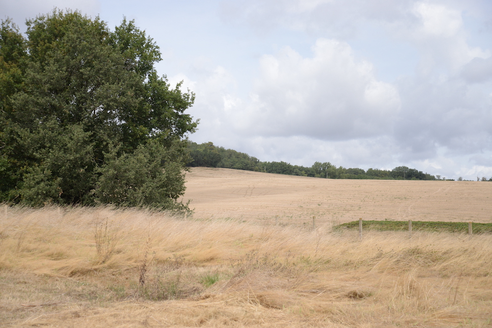 Droit à indemnité en cas d’annulation d’un bail rural ?