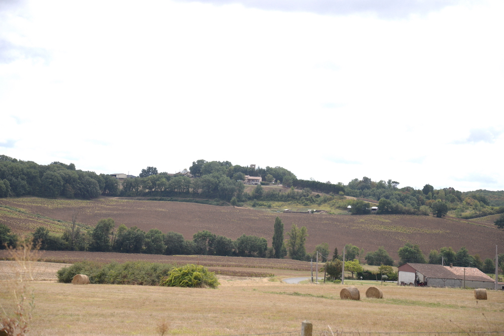 Quel point de départ pour la prescription de l’action du bailleur en résiliation d’un bail rural en cas d’apport non autorisé du droit au bail au GAEC ?