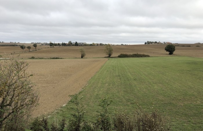 Allongement du délai de substitution pour les exonérations des cessions SAFER : ce qu’il faut retenir