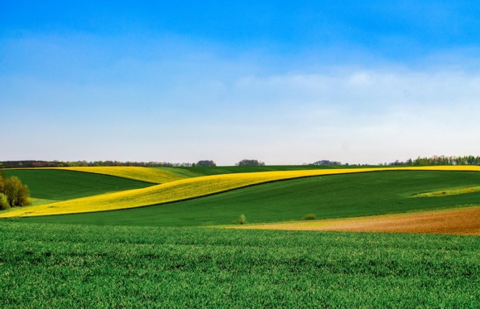 Bail rural et prestations de services : une ouverture ?