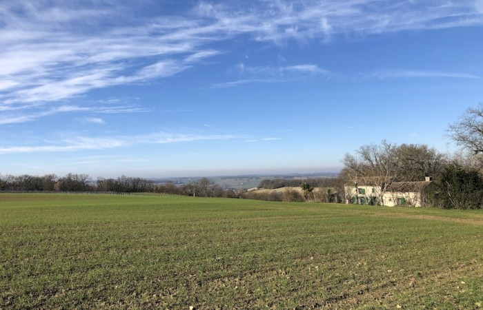 Autorisation d’exploiter et refus pour agrandissement excessif : quelle latitude pour le préfet ?