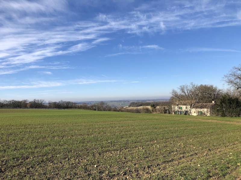 Autorisation d’exploiter et refus pour agrandissement excessif : quelle latitude pour le préfet ?